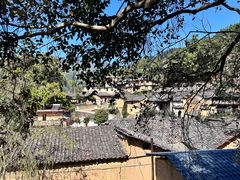 -杨家堂村