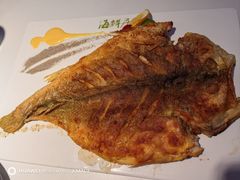 -赶海部落海鲜城(海阳路店)