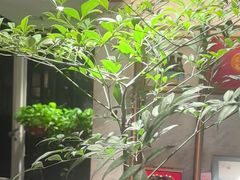 -一澜江宴·江景地标楚菜(江滩公园店)