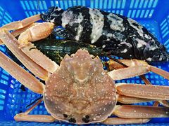 -徐记海鲜(大雁塔|金都店)
