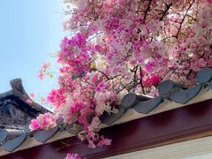 -深圳国际园林花卉博览园