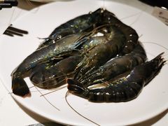 -加餐海鲜自助(宝龙一城店)