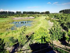 -东郊湿地公园