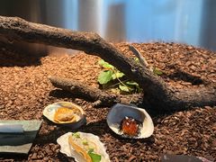 -曲廊院(东四十一条店)