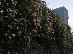 -无锡新湖铂尔曼大酒店