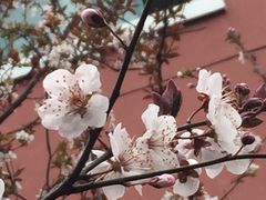 -上南中学东校(邹平校区)