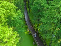 -青山湖景区