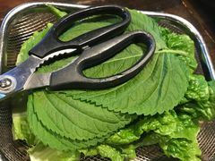 -Dombe豚(黑猪肉街店)