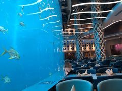 -瑞德姆美人鱼海底演艺主题餐厅(亚龙湾店)
