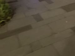 -车沾巷·重庆老味豌杂面