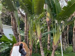 -人民公园(罗湖区)