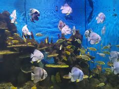 -石林冰雪海洋世界