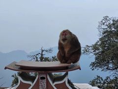 -峨眉山风景名胜区