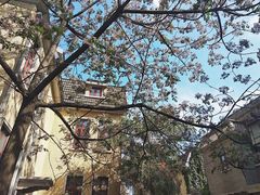 -颐和路民国时期公馆风貌区