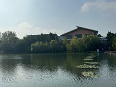 -溱湖国家湿地公园