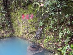 -十八棵（老龙井）御茶园(老龙井店)