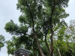 -湖南省立第一师范学校旧址