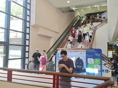 -香港大学