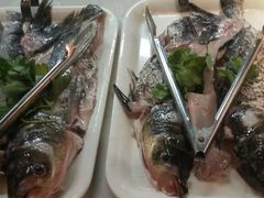 -蜀滋香鲜鱼美蛙火锅(339店)