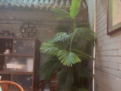 -有喜胶东小馆(太申祥和店)