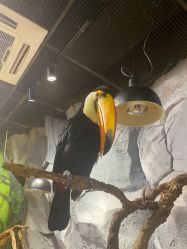 -Zoolung Zoolung动物主题公园(海信广场店)