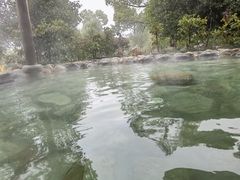 -山湖温泉