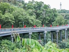 -金鸡山公园