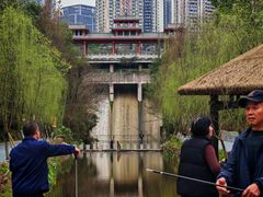 -重庆彩云湖湿地公园