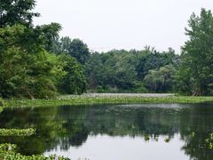 -白鹭湾湿地公园