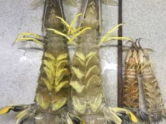 -黄沙水产交易市场