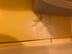 -如家酒店·neo(南京夫子庙店)