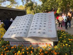 -大槐树寻根祭祖园