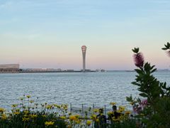 -上海吴淞炮台湾国家湿地公园