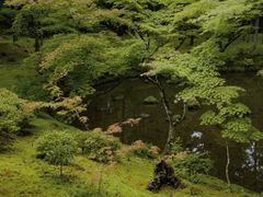 -西芳寺(苔寺)