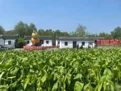 -溱湖国家湿地公园