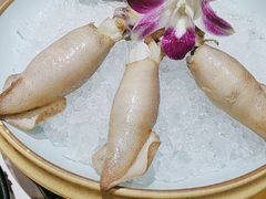 -曲氏老北京铜锅涮肉•火锅(不老街店)