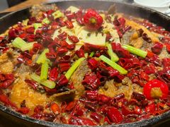 -老板恋上鱼(恒隆广场店)