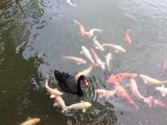 -东部华侨城