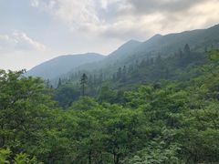 -大围山国家森林公园