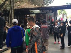 -金盆阿嬷香菇茶叶蛋(玄光店)