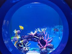 -上海海昌海洋公园