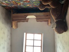 -金山农民画村-枫泾波兰倒置屋