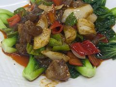 -清真双宝红油牛系列