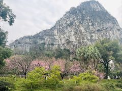 -南溪山景区