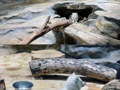 -香港海洋公园