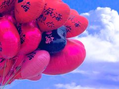 -悦海公园