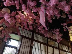 -尺山寸水日料(马桥满天星店)