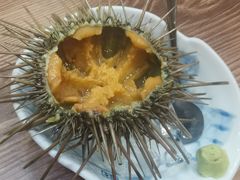 -红叶日料·放题·海胆·定食(辰熙广场店)
