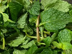 -抚仙湖生态石锅鱼野生菌(告庄店)