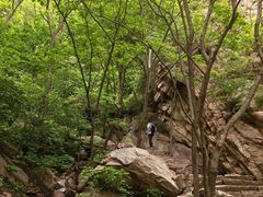 -大岭沟猕猴桃谷风景区